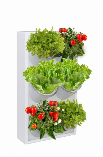 STF1-3PG14-1-bez znaku wodnego.jpg