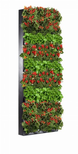 STF2-9PG14-1b-bez znaku wodnego.jpg