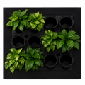 ChatGPT Image 19 cze 2026, 15_52_27.png