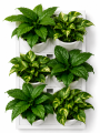 ChatGPT Image 25 cze 2026, 14_11_08.png
