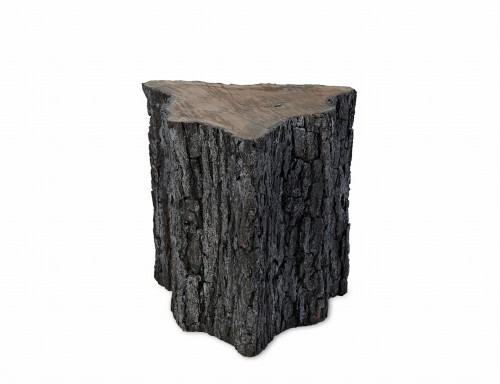 Tronco Bark.jpg